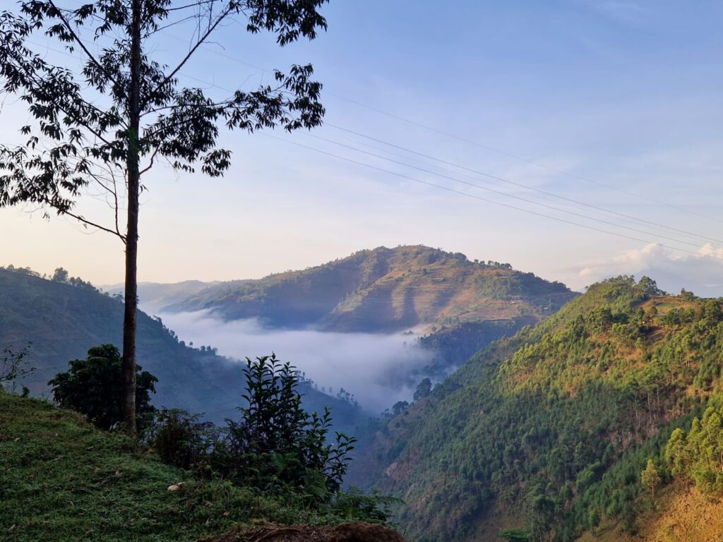 Landschaft in Uganda